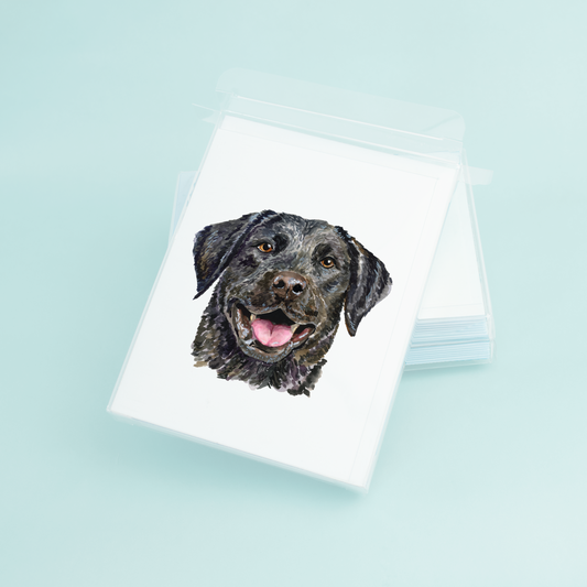 Black Lab Portrait