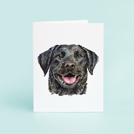 Black Lab Portrait