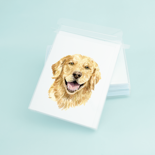 Golden Retriever Portrait