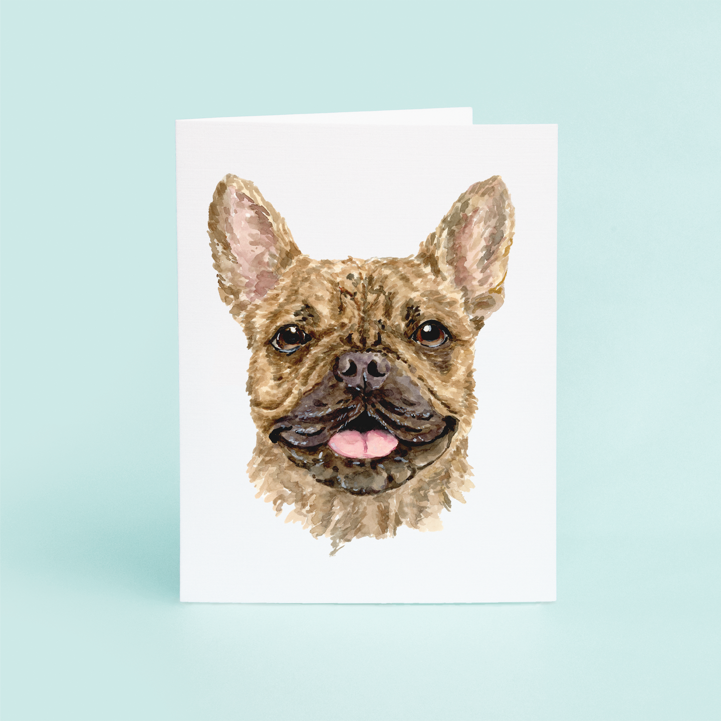 Brown French Bulldog Portrait