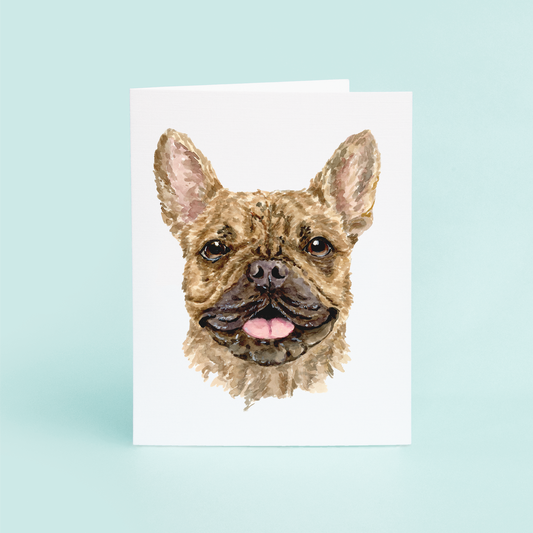 Brown French Bulldog Portrait