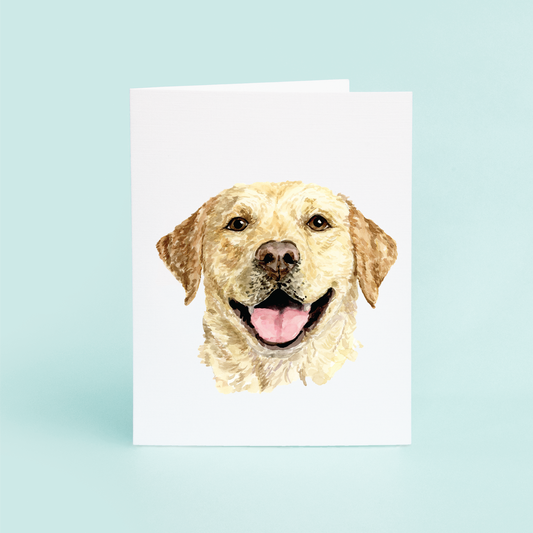 Yellow Lab Portrait