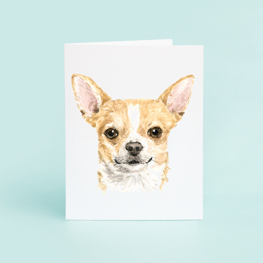 Chihuahua Portrait