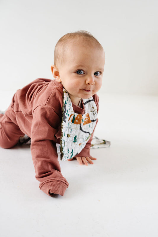 National Parks Bib