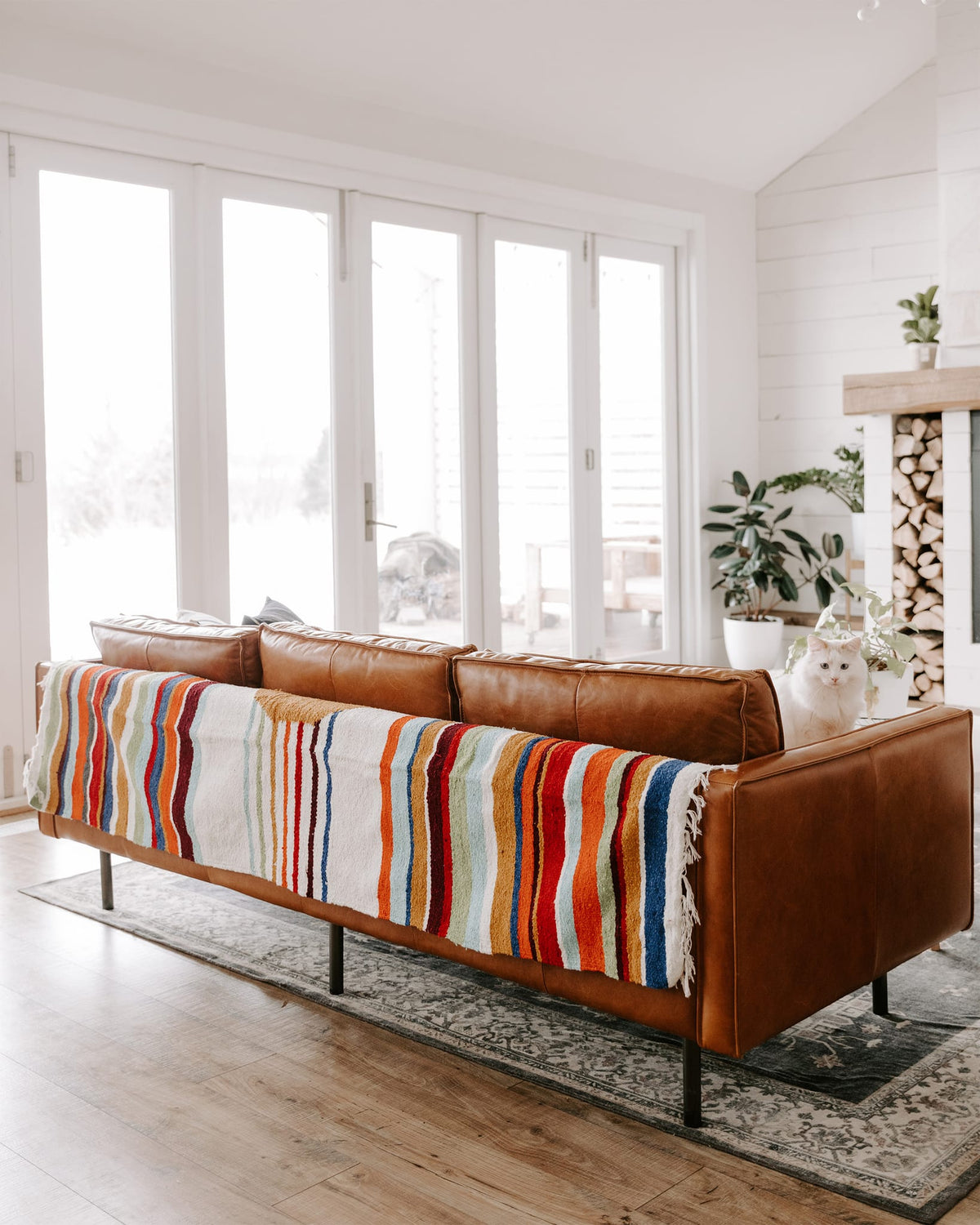 Halley's Comet Blanket