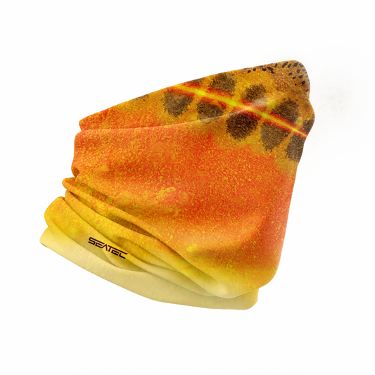 Golden Trout Performance Shield