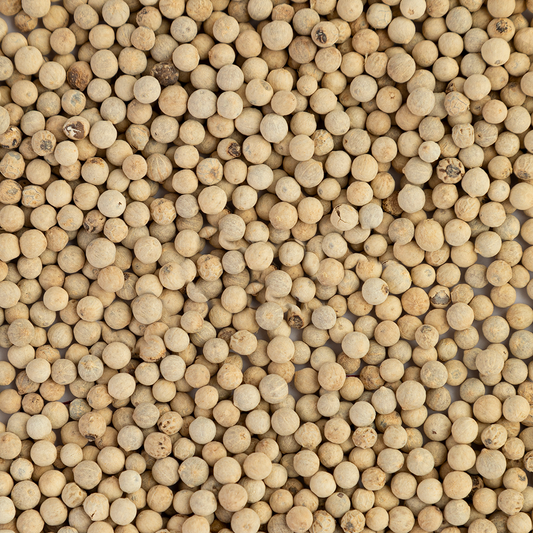 White Peppercorn